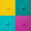 Isaac Kahn | Composition - apple, 4 colors