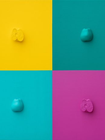 COMPOSITION OF APPLES