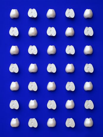 COMPOSITION – BLUE APPLES