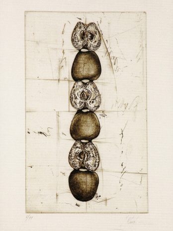 THE APPLE