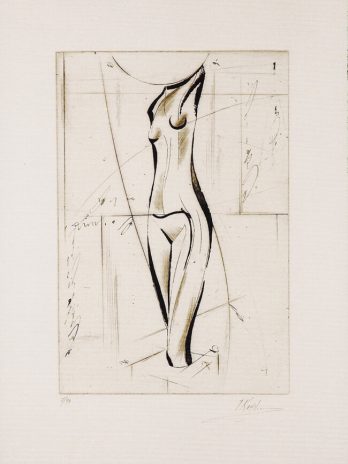TORSO
