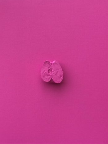 The apple