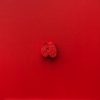 Isaac Kahn | Apple (Red Monochrome)