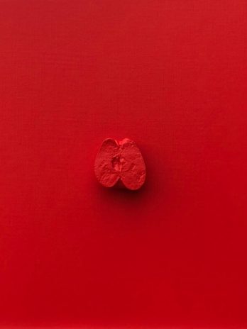 The apple
