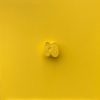 Isaac Kahn | Apple (Yellow Monochrome)