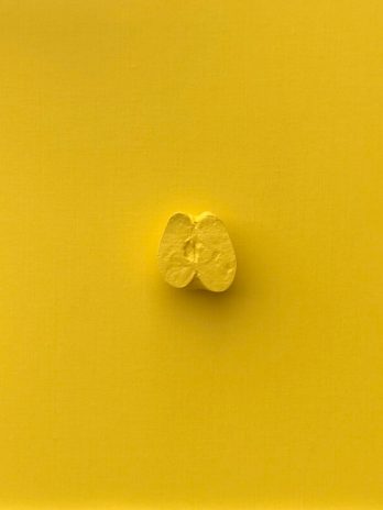The apple