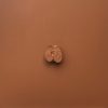 Isaac Kahn | Apple (Burnt sienna color monochrome)
