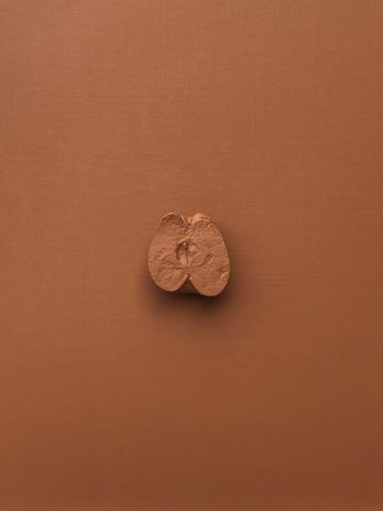 The apple