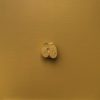 Isaac Kahn | Apple (Yellow Oxide)