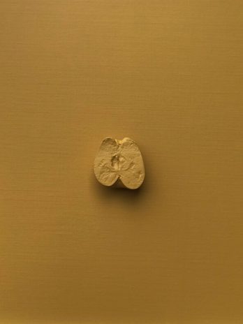 The apple