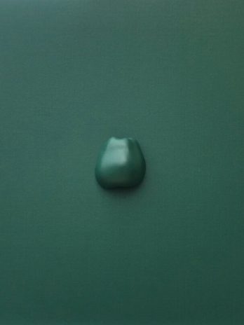 The apple