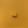 Isaac Kahn | Apple (Yellow Ochre)