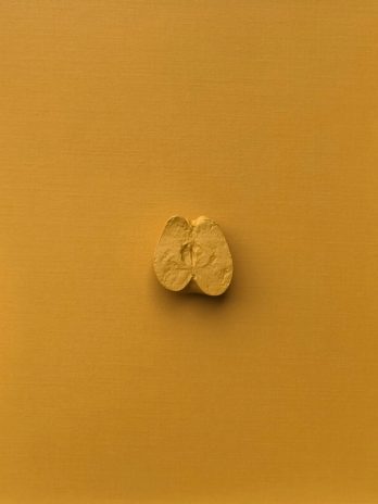 The apple